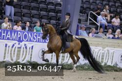 25R13_06447 thumbnail