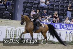 25R13_06448 thumbnail
