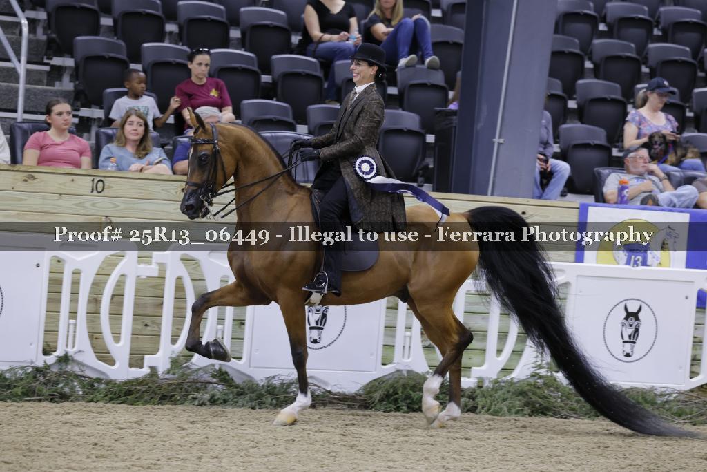 Proof Number 25R13_06449