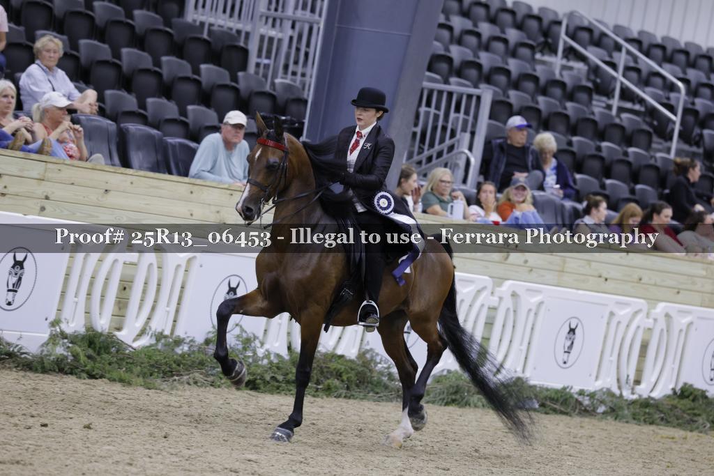 Proof Number 25R13_06453