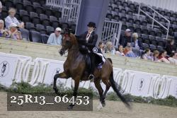 25R13_06453 thumbnail