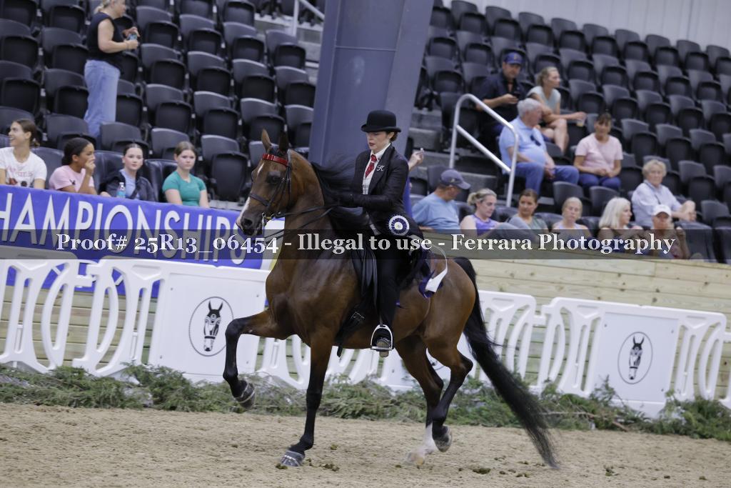 Proof Number 25R13_06454