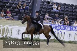 25R13_06455 thumbnail