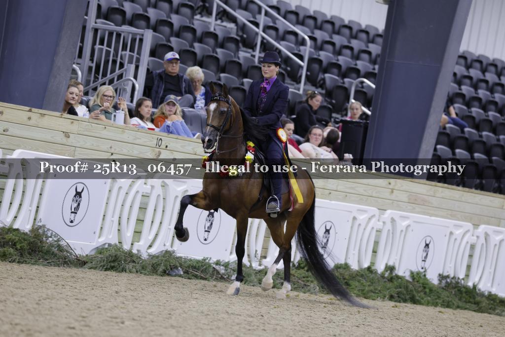 Proof Number 25R13_06457