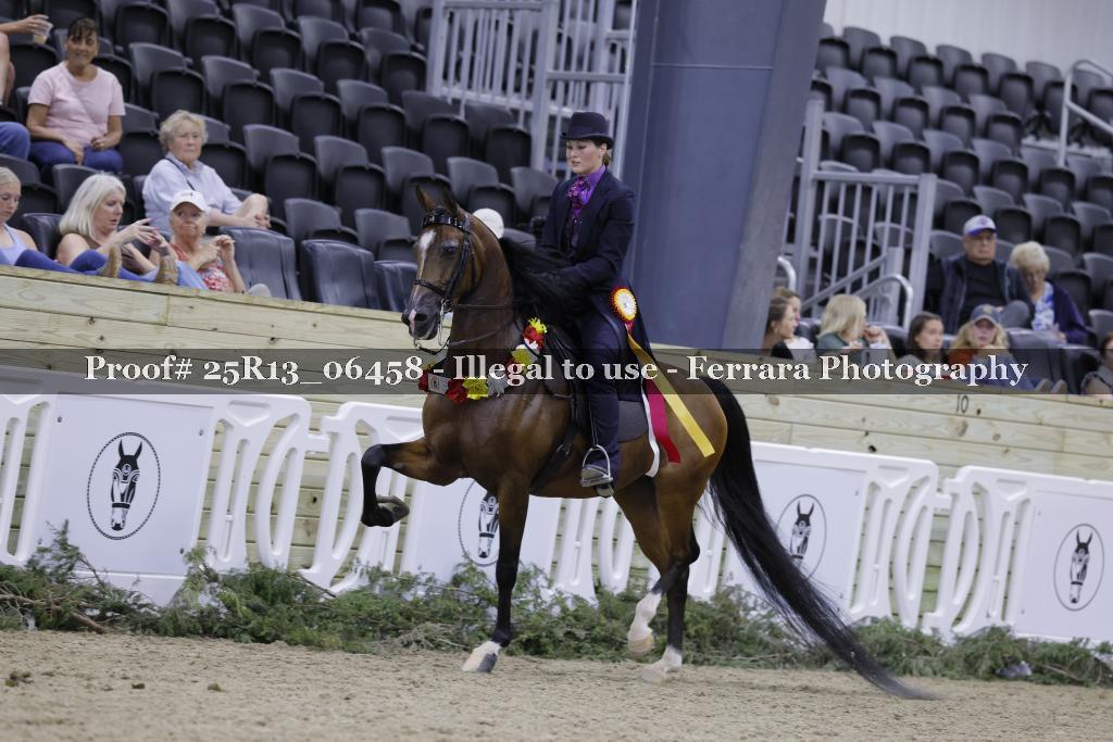 Proof Number 25R13_06458