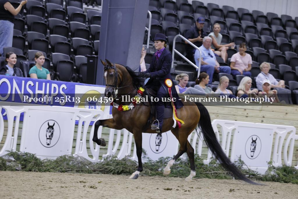 Proof Number 25R13_06459