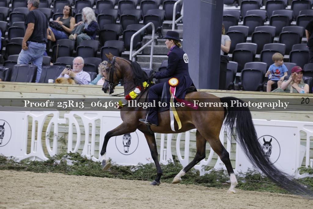 Proof Number 25R13_06463