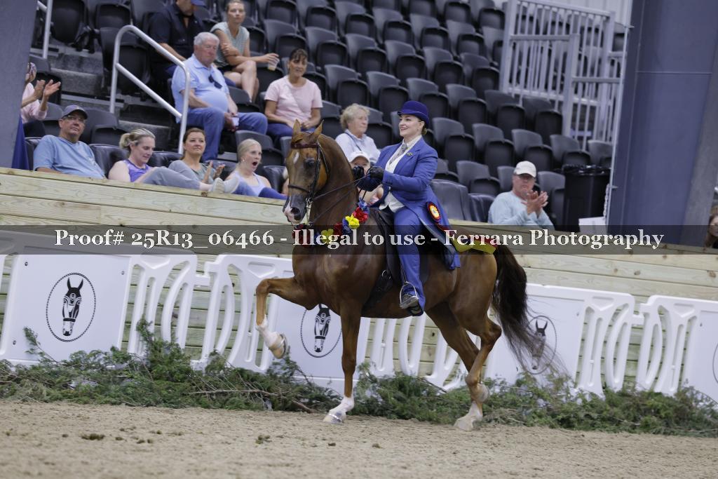 Proof Number 25R13_06466