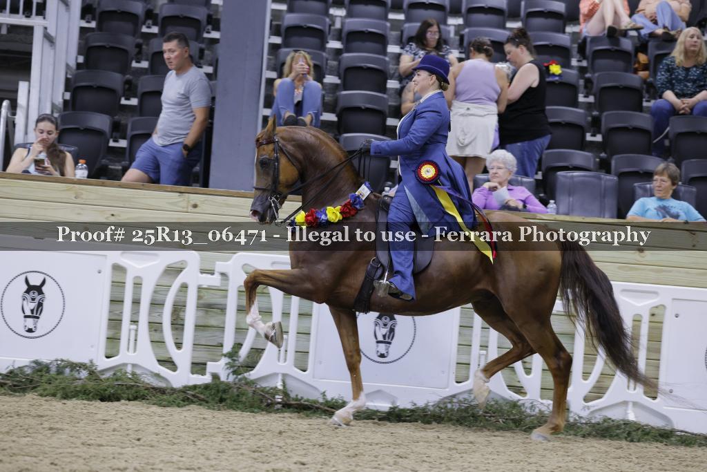 Proof Number 25R13_06471