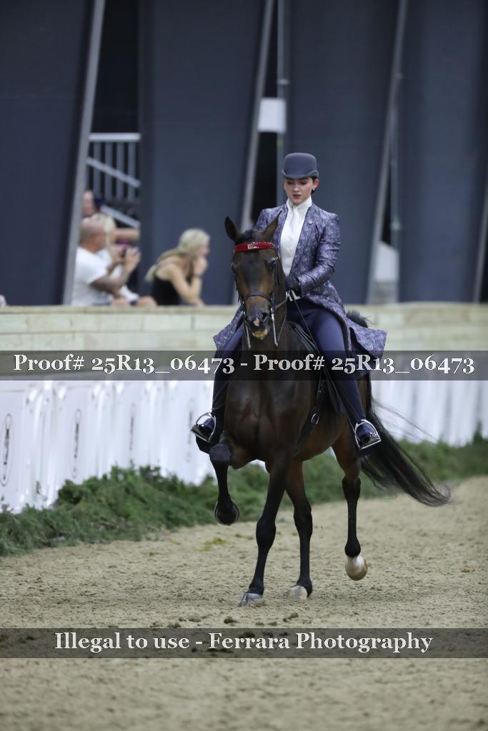Proof Number 25R13_06473