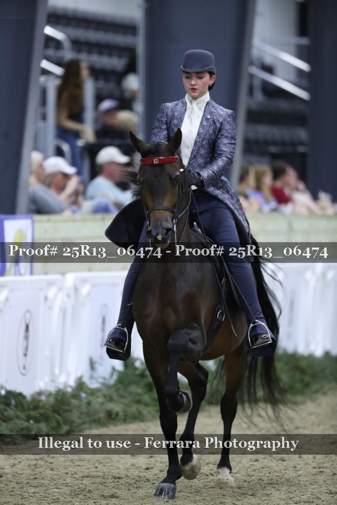 Proof Number 25R13_06474
