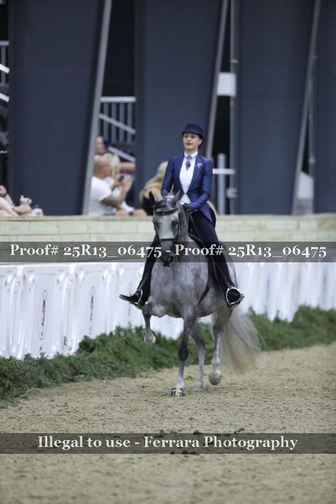 Proof Number 25R13_06475