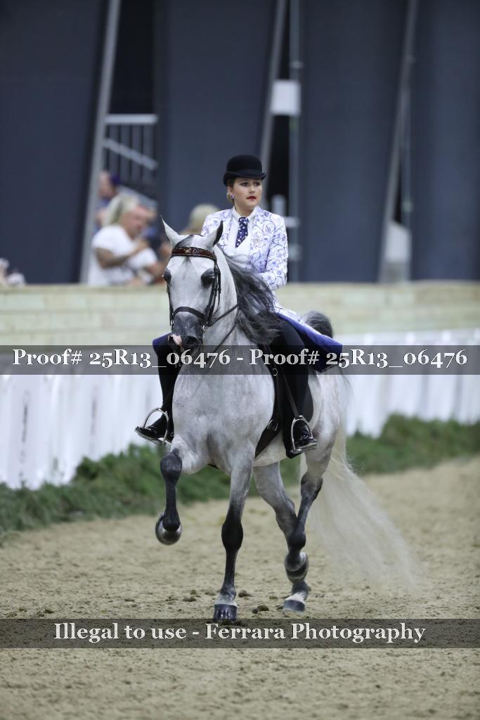 Proof Number 25R13_06476
