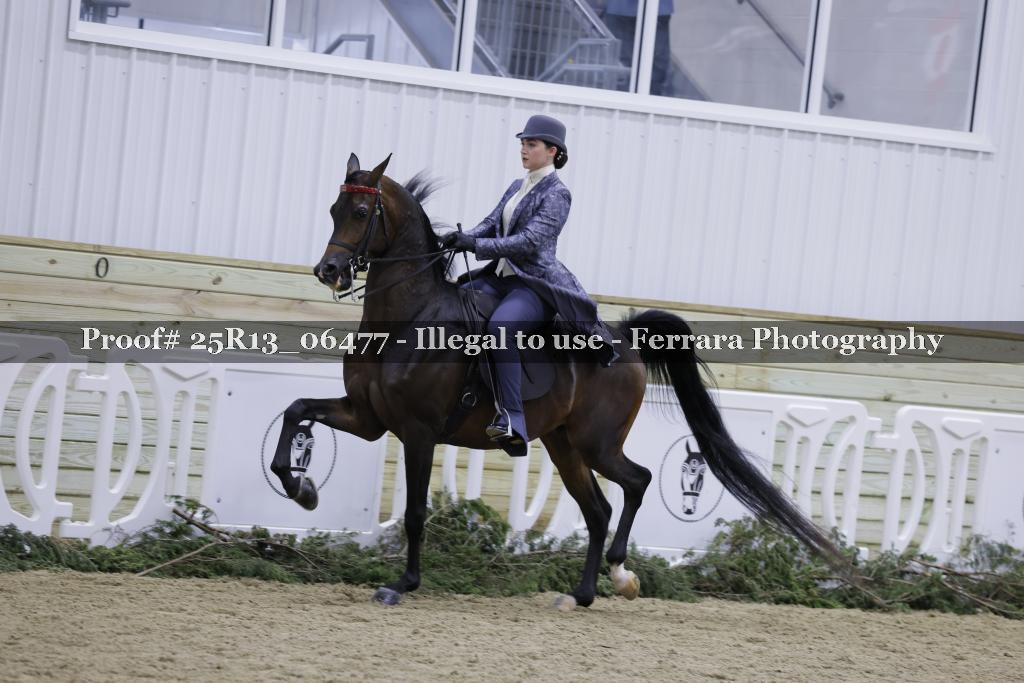 Proof Number 25R13_06477