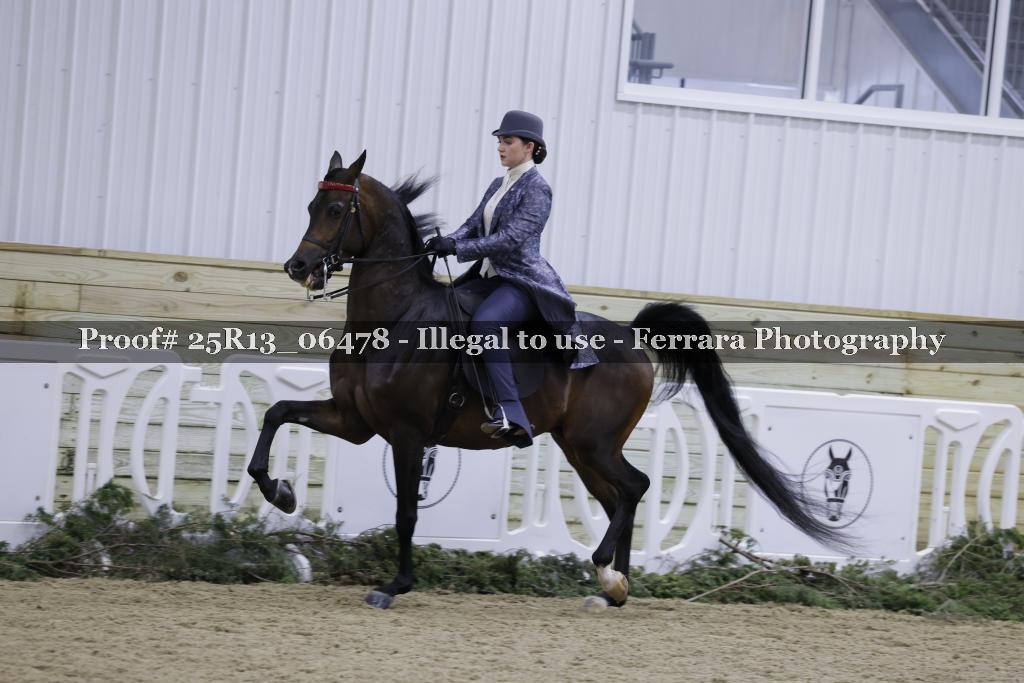 Proof Number 25R13_06478