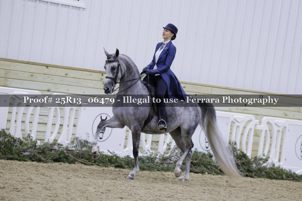 Proof Number 25R13_06479