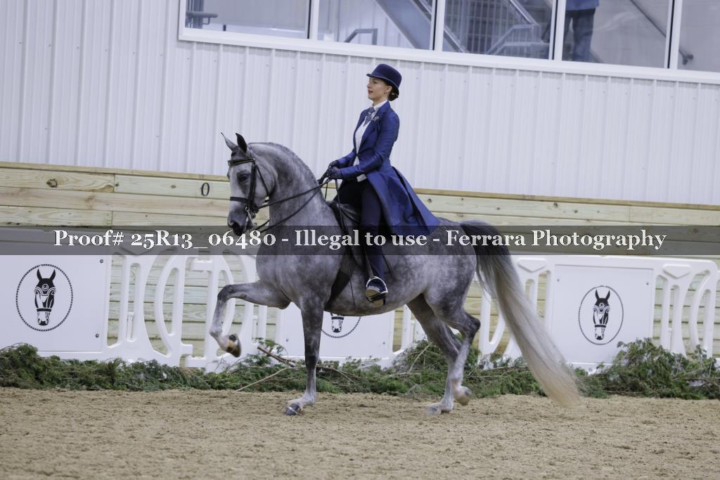 Proof Number 25R13_06480