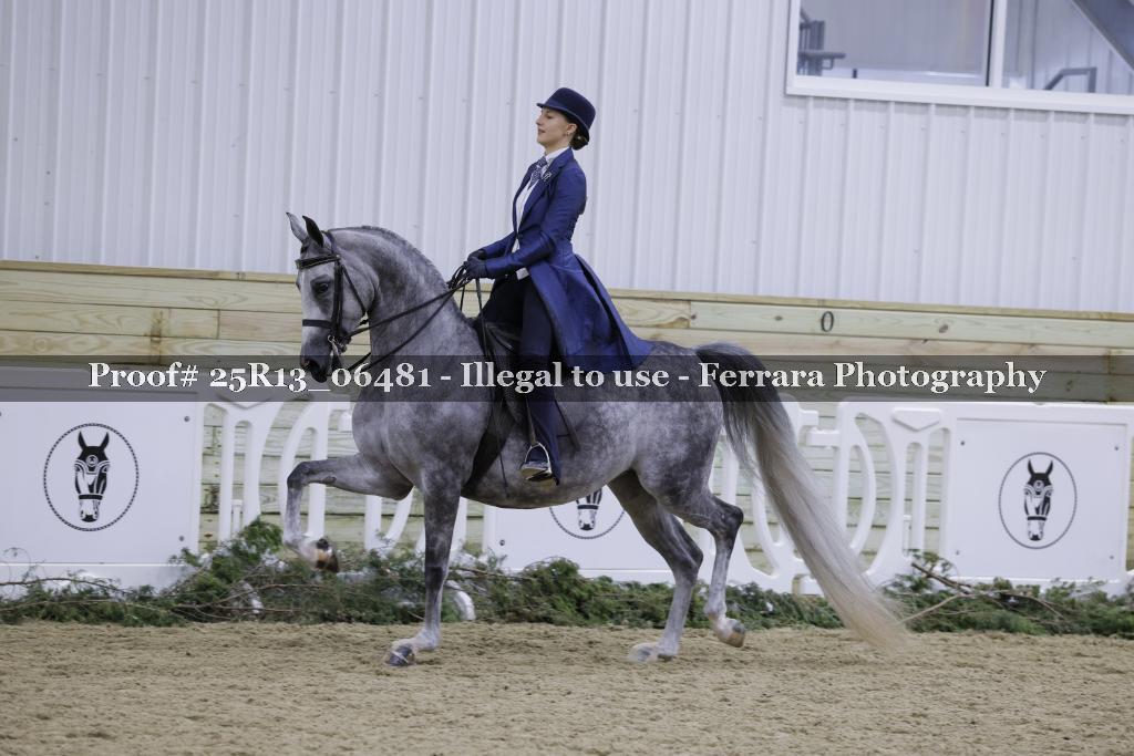 Proof Number 25R13_06481
