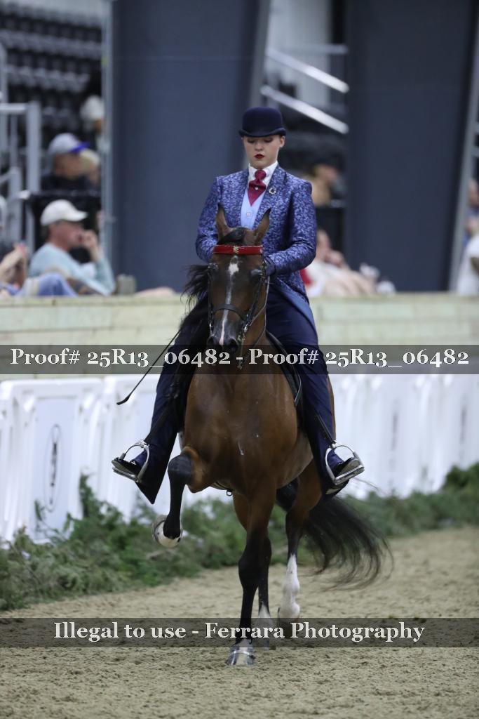 Proof Number 25R13_06482
