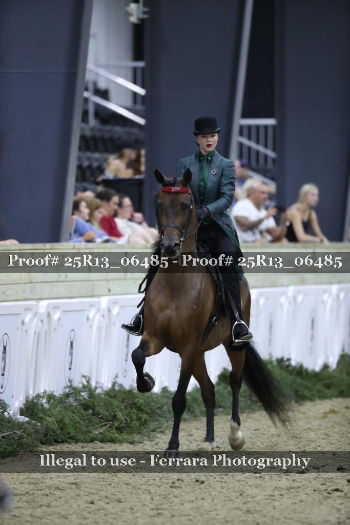 Proof Number 25R13_06485