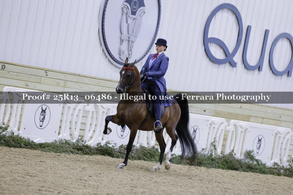 Proof Number 25R13_06486