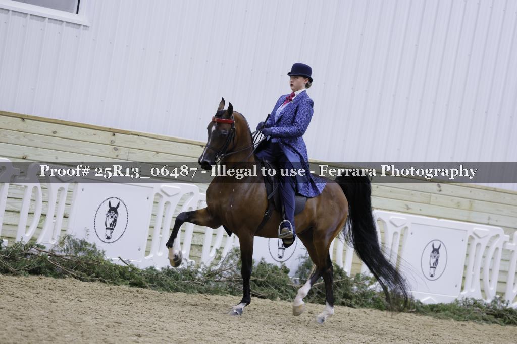 Proof Number 25R13_06487