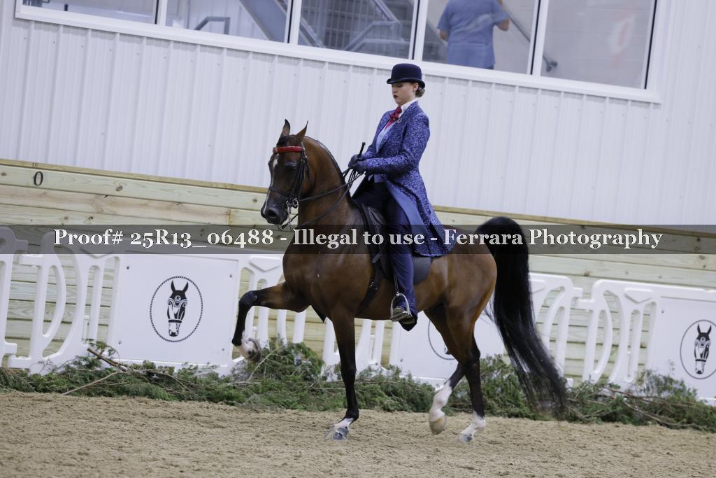 Proof Number 25R13_06488