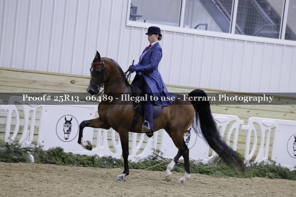 Proof Number 25R13_06489
