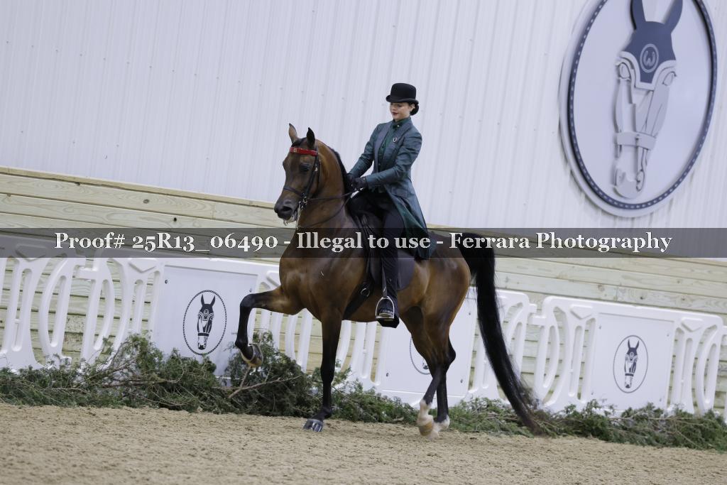 Proof Number 25R13_06490