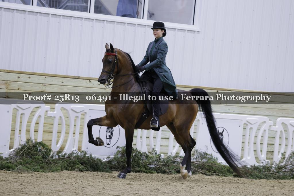 Proof Number 25R13_06491