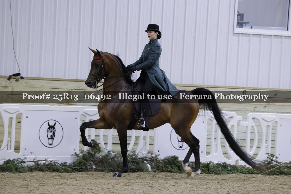 Proof Number 25R13_06492