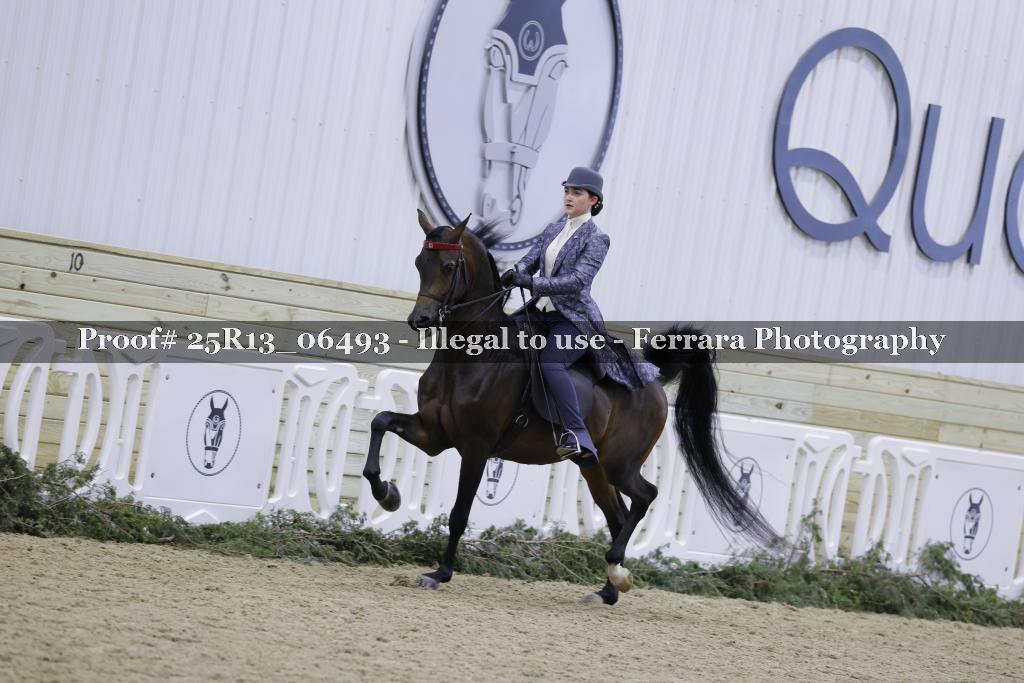 Proof Number 25R13_06493