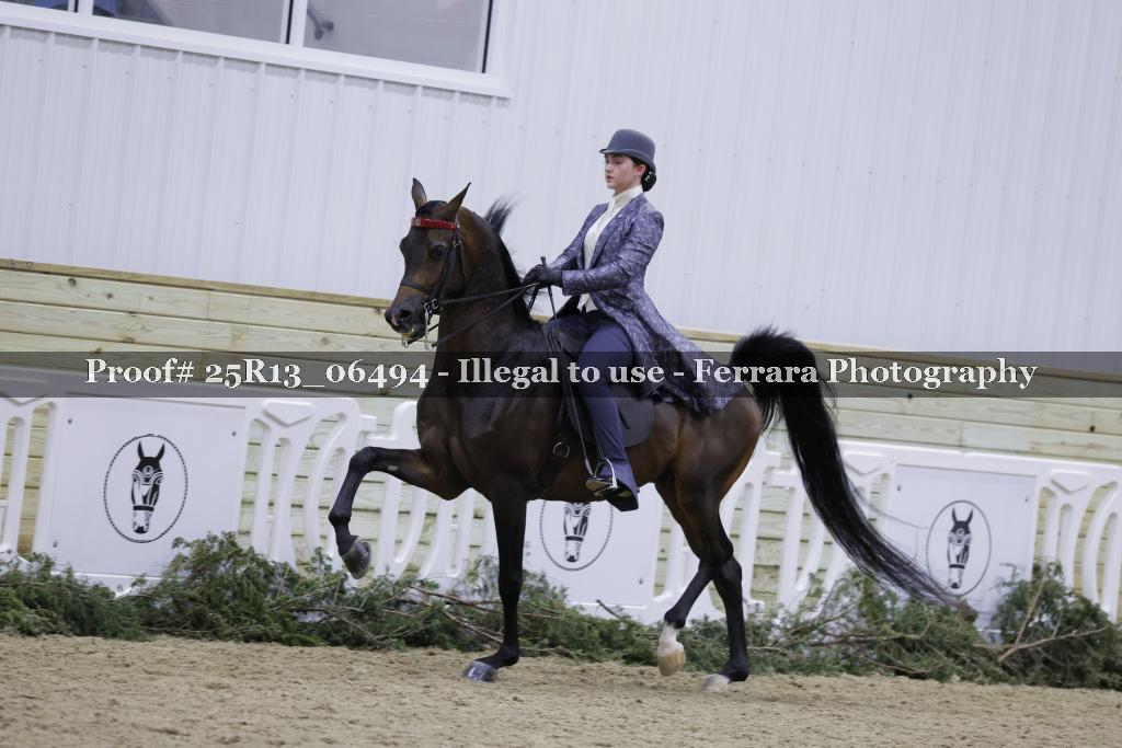 Proof Number 25R13_06494