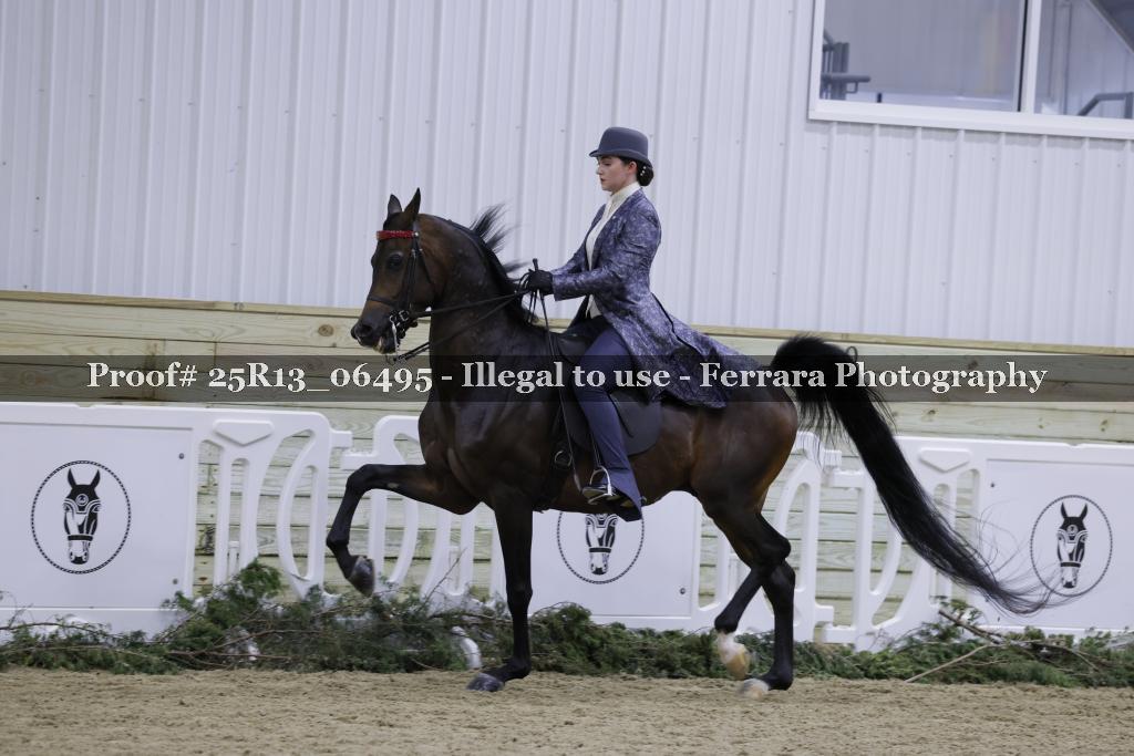 Proof Number 25R13_06495