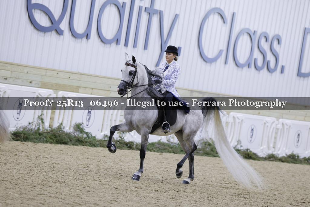 Proof Number 25R13_06496