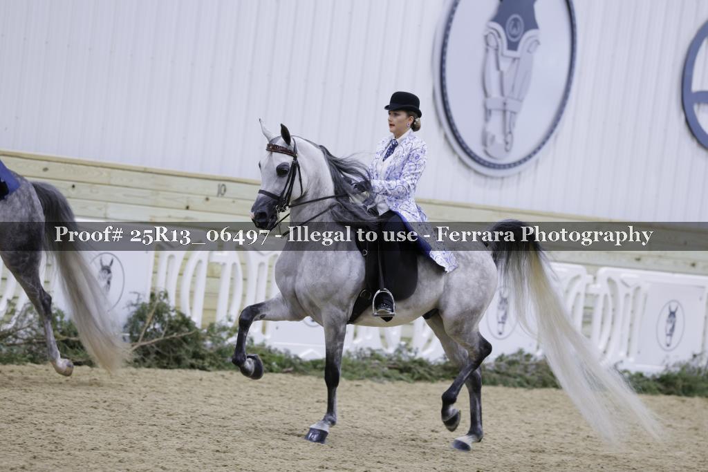 Proof Number 25R13_06497