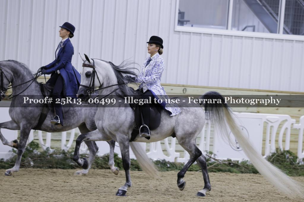 Proof Number 25R13_06499