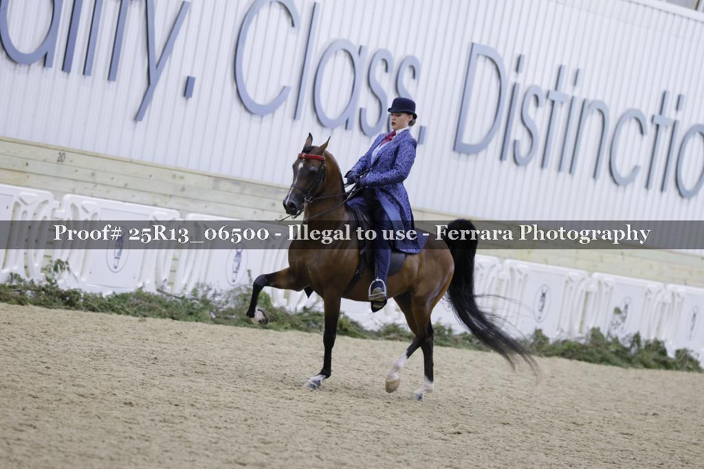 Proof Number 25R13_06500