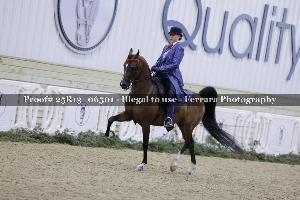 Proof Number 25R13_06501