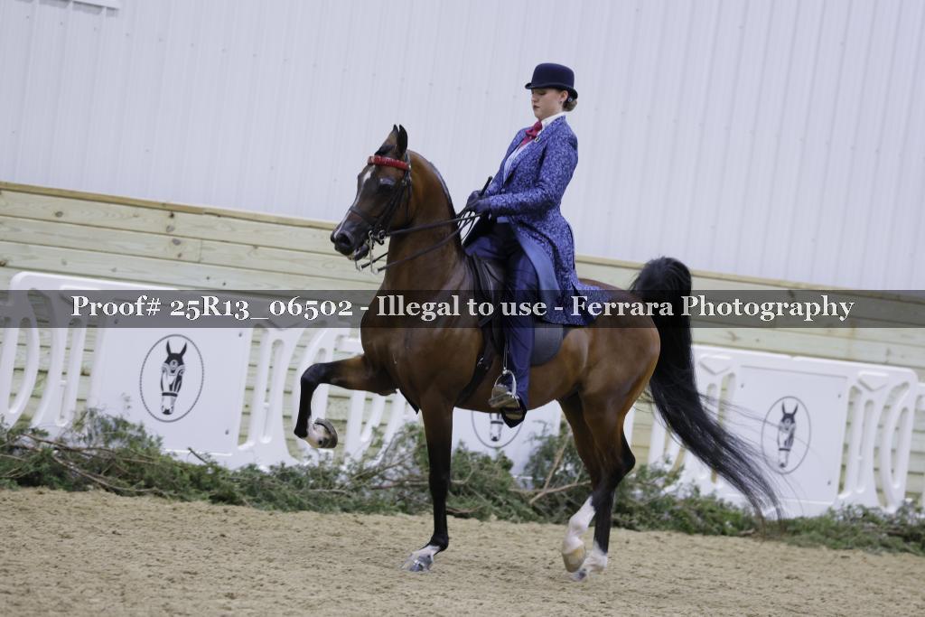 Proof Number 25R13_06502