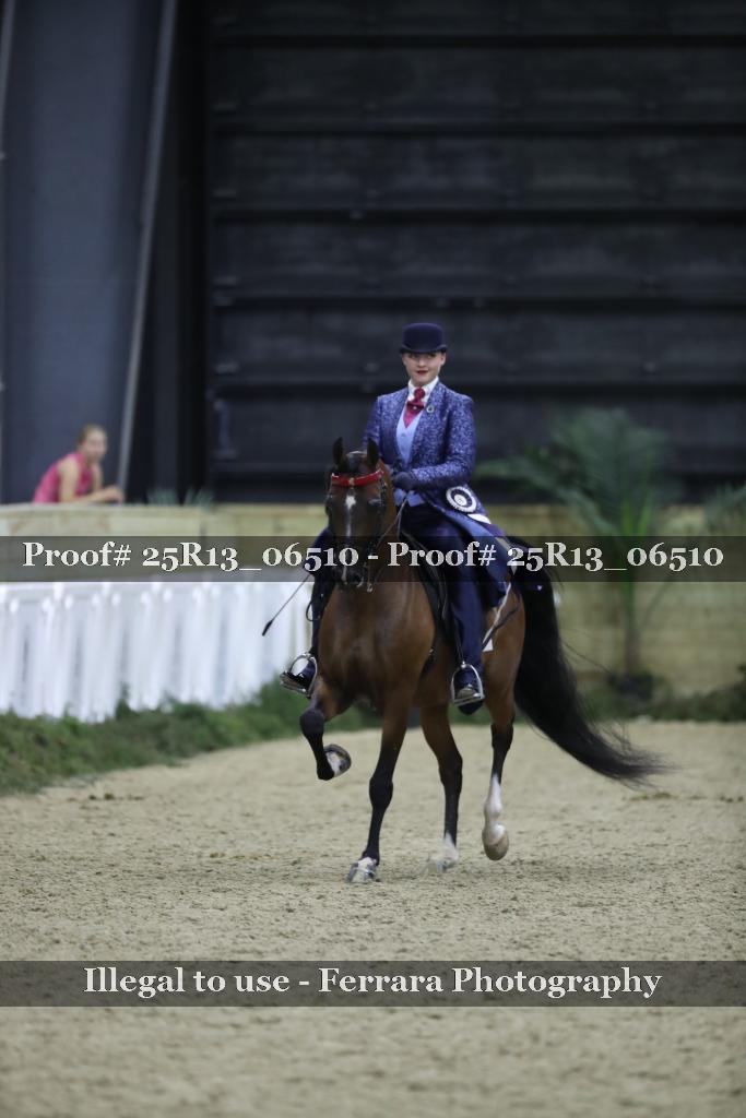 Proof Number 25R13_06510