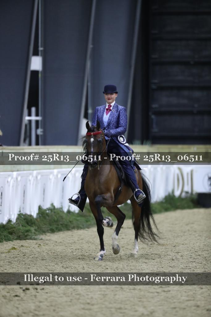 Proof Number 25R13_06511