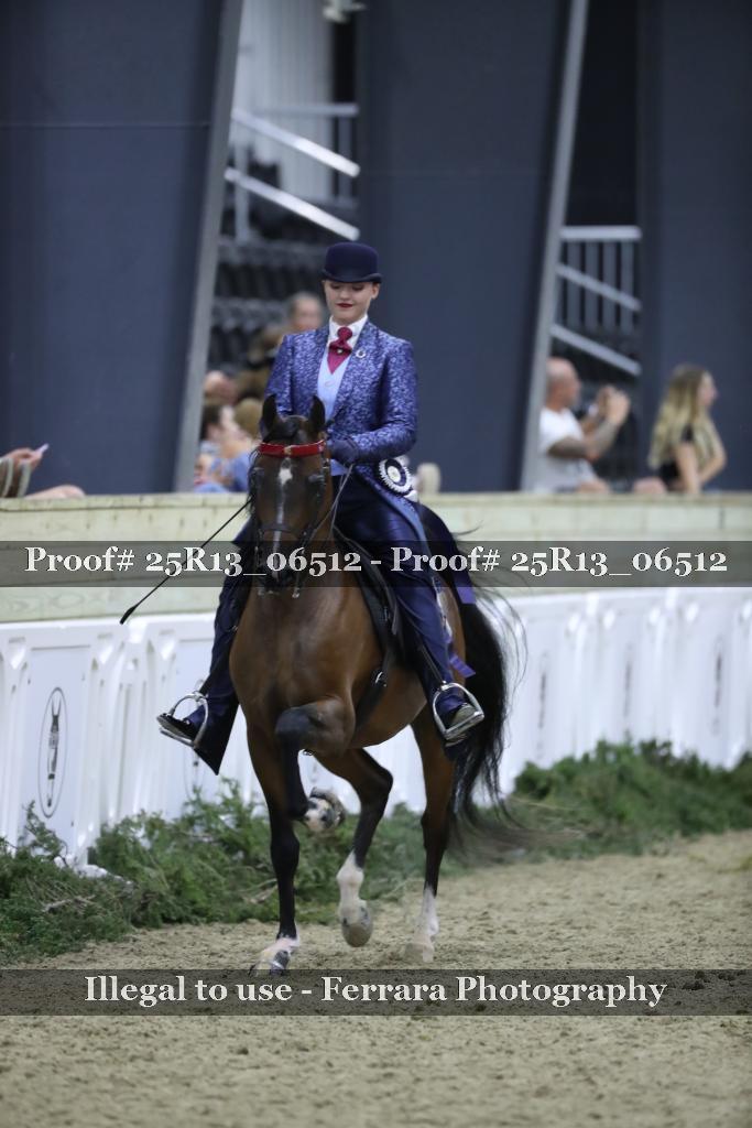 Proof Number 25R13_06512