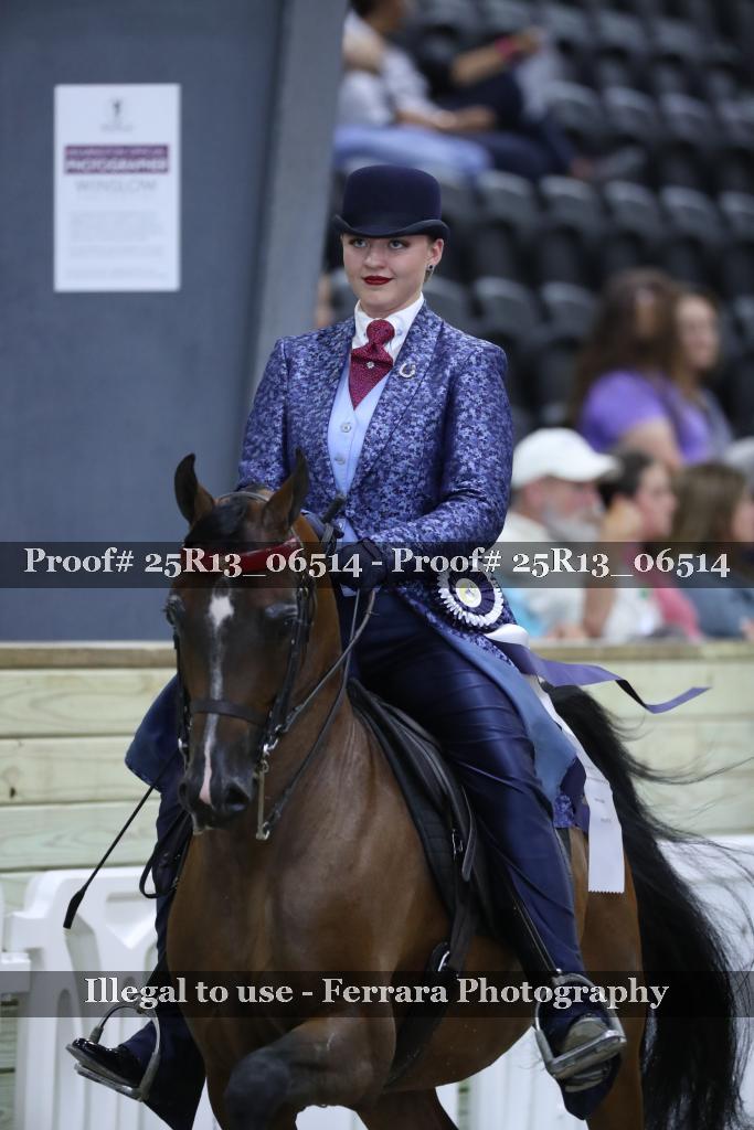 Proof Number 25R13_06514