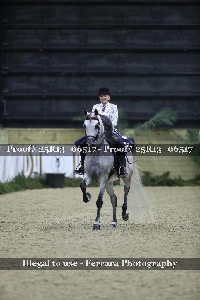 Proof Number 25R13_06517