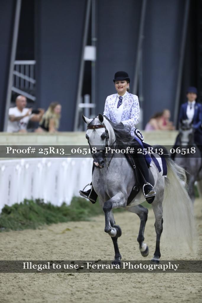 Proof Number 25R13_06518