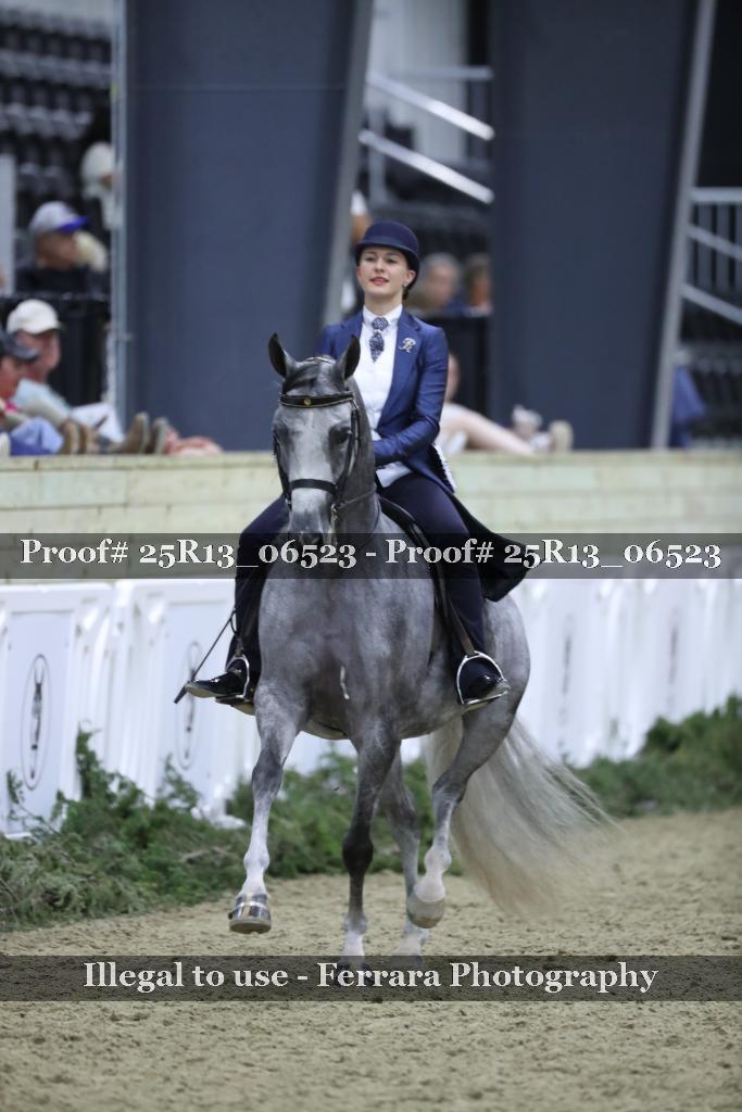 Proof Number 25R13_06523