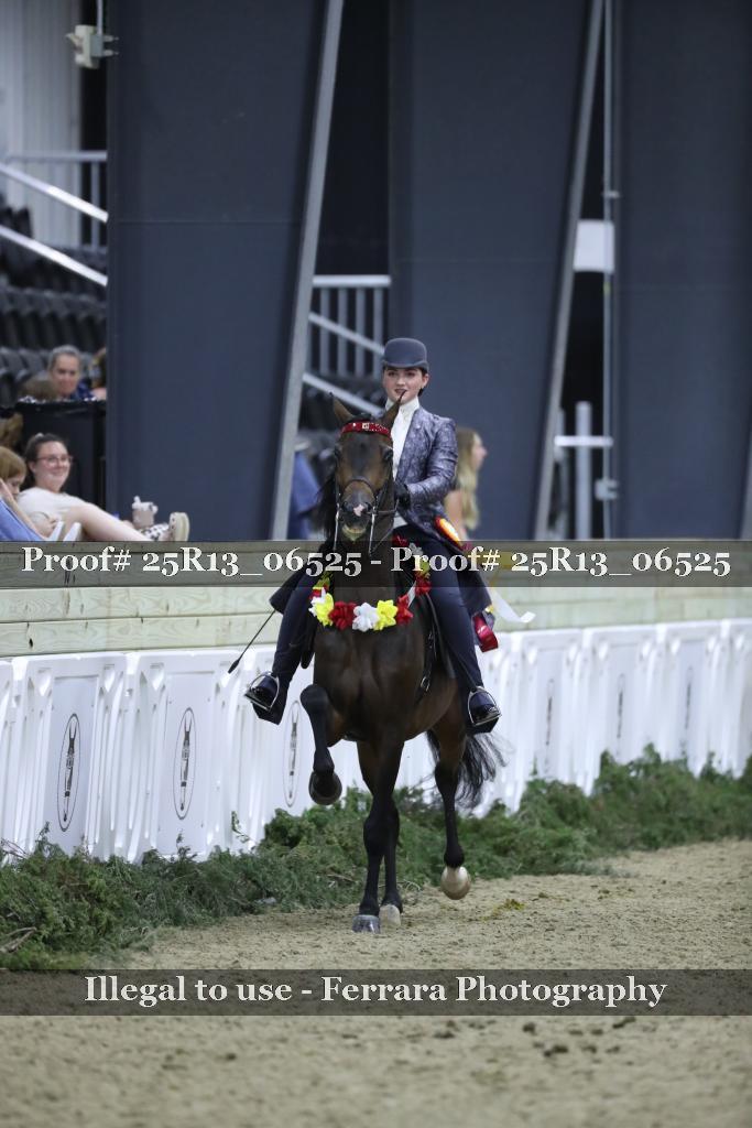 Proof Number 25R13_06525