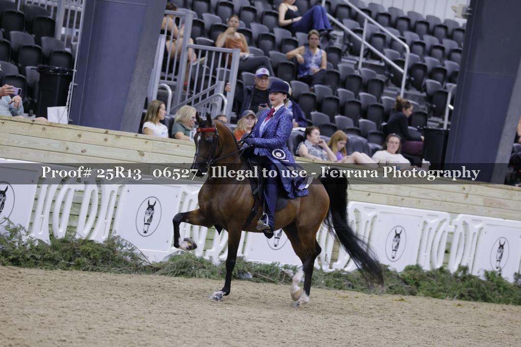 Proof Number 25R13_06527