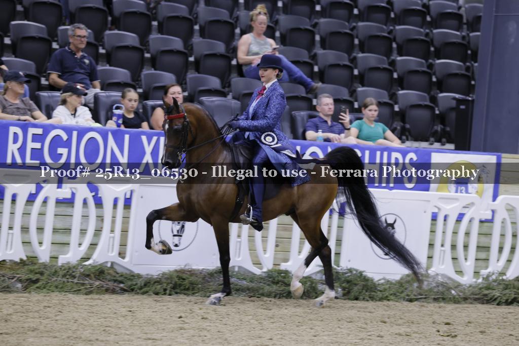 Proof Number 25R13_06530